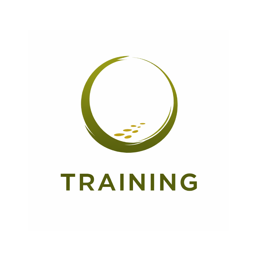 Find your Sacred Stride